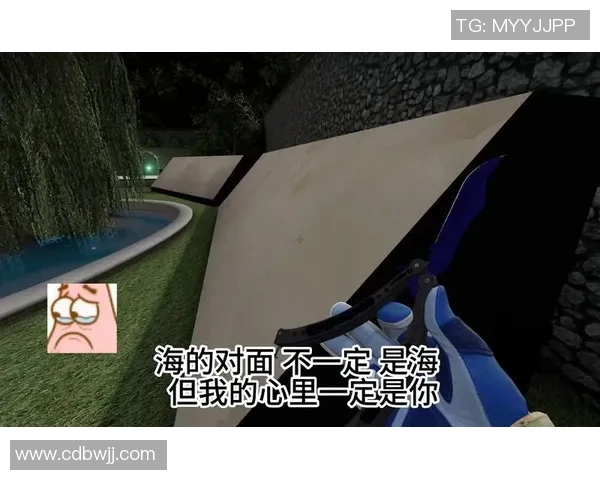 实时新闻李秀英的CSGO人生深度对话揭秘她的游戏热爱与成长历程